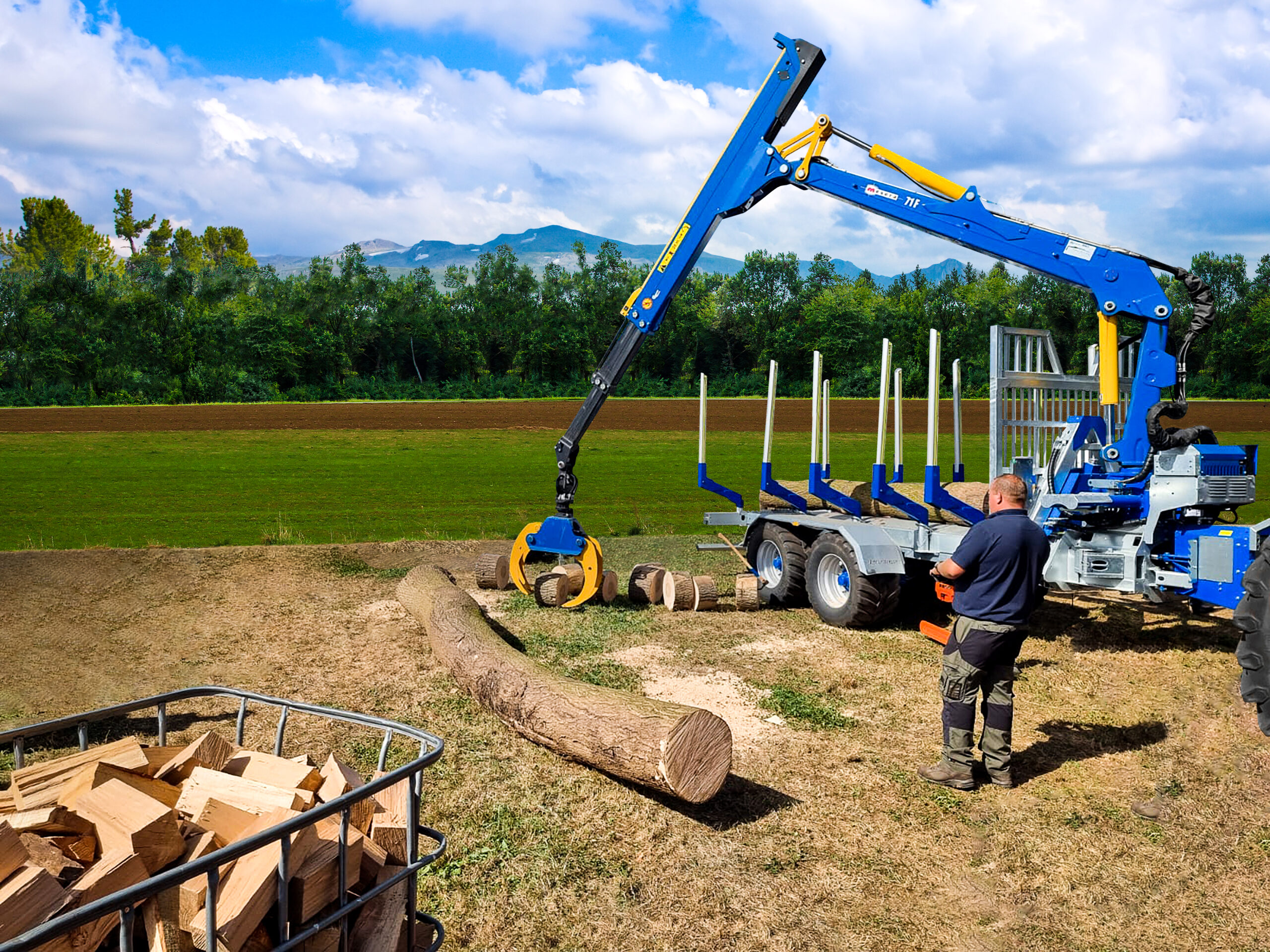 Rückewagen alpin 21t