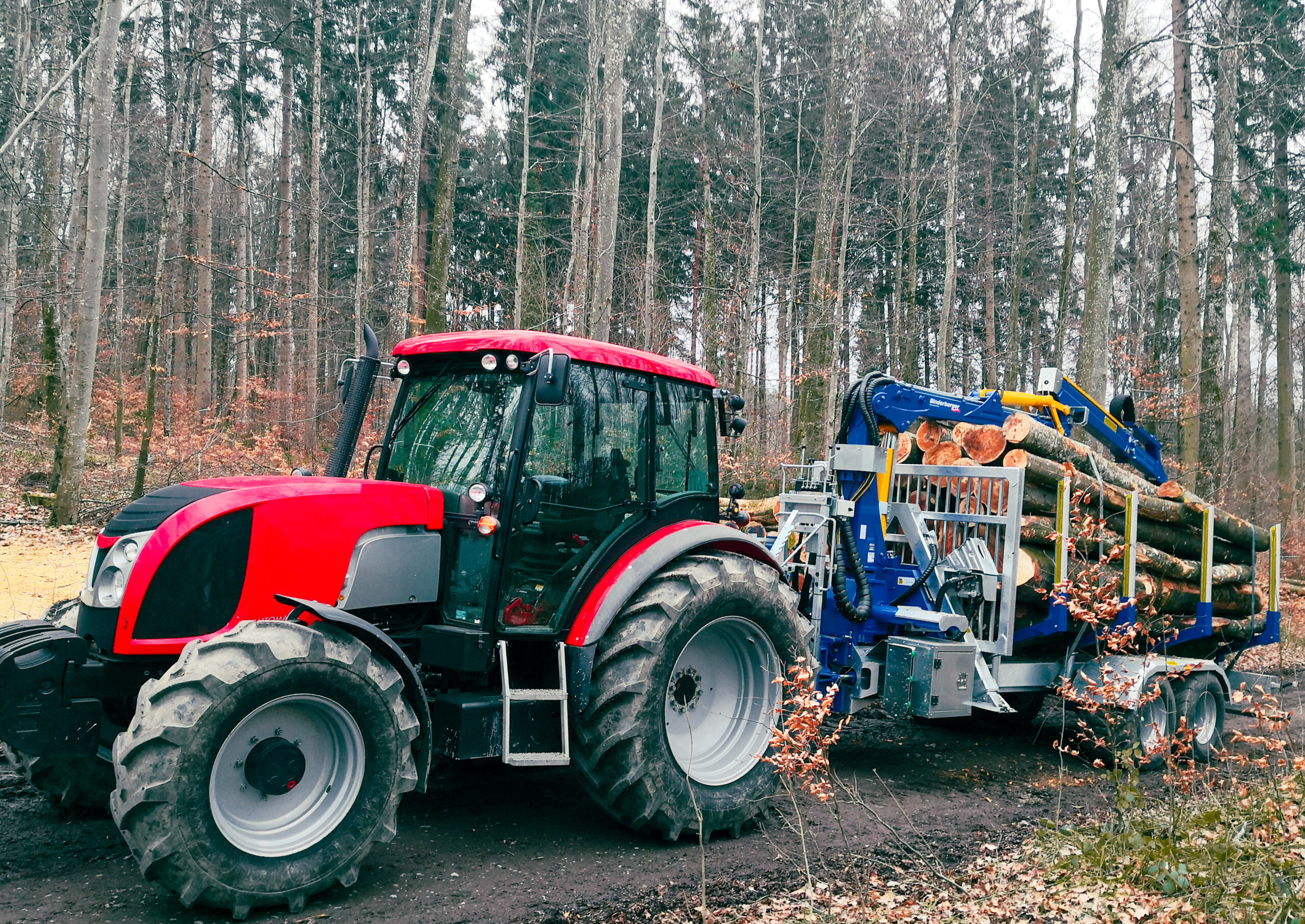 Rückewagen alpin 12t